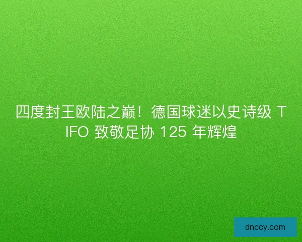 四度封王欧陆之巅！德国球迷以史诗级 TIFO 致敬足协 125 年辉煌