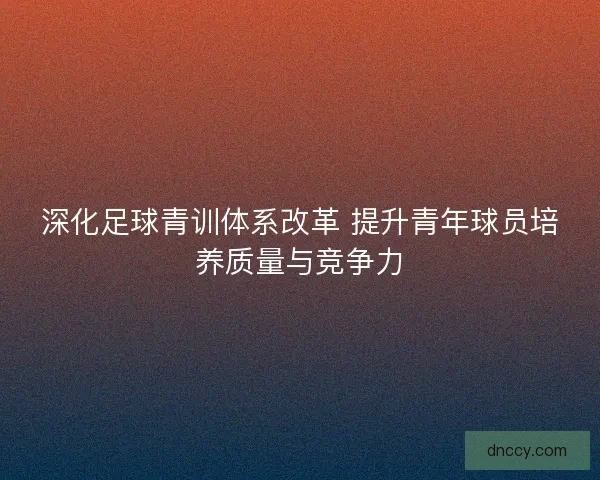 深化足球青训体系改革 提升青年球员培养质量与竞争力